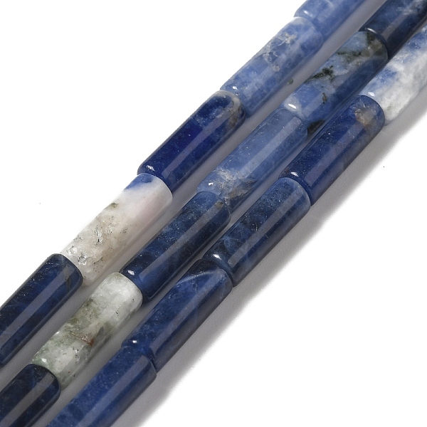 

PandaHall Natural Sodalite Beads Strands, Tube, 12x4mm, Hole: 1.2mm, about 32pcs/strand, 15.55''(39.5cm) Sodalite Tube