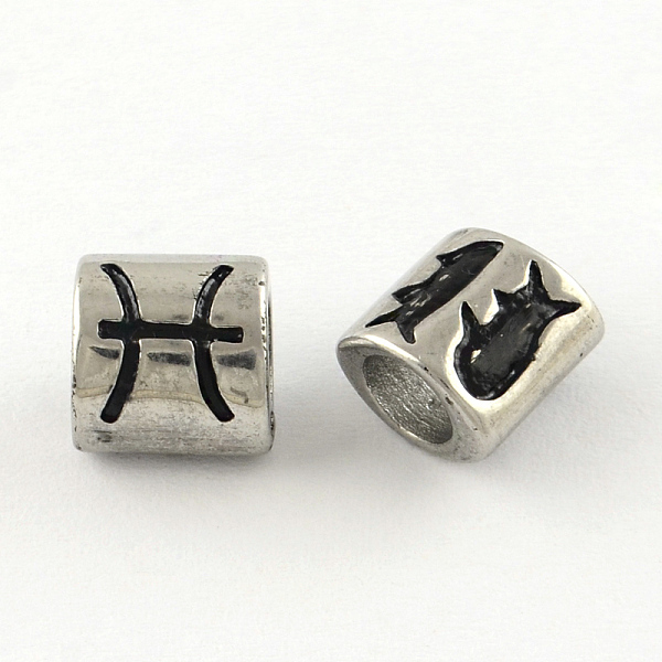 

PandaHall Smooth Surface 304 Stainless Steel European Bead, Large Hole Beads, Oval Constellation/Zodiac Sign Style, Pisces, 9x8.5x6.5mm...