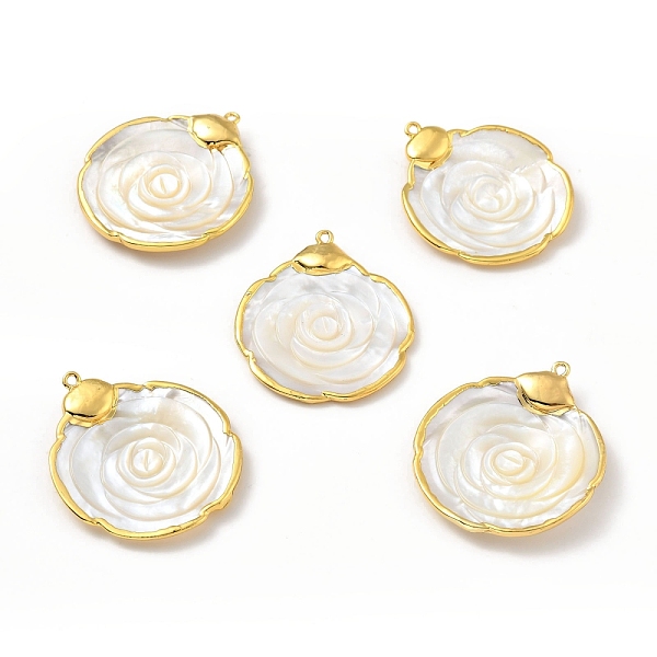 

PandaHall Natural Shell Pendants, with Golden Brass Findings, Long-Lasting Plated, Flower, White, 46.5~48.5x40~41x5mm, Hole: 1.8mm White...