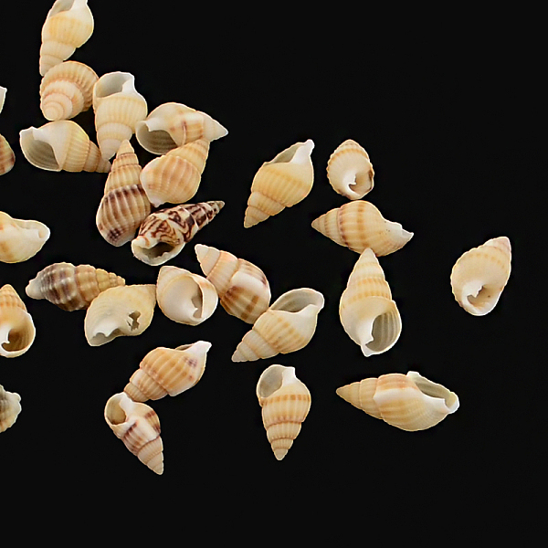 

PandaHall Natural Spiral Shell Beads, No Hole,, Peru, 10~20x5~10x5~10mm, about 1700pcs/500g Other Sea Shell Shell Shape Brown