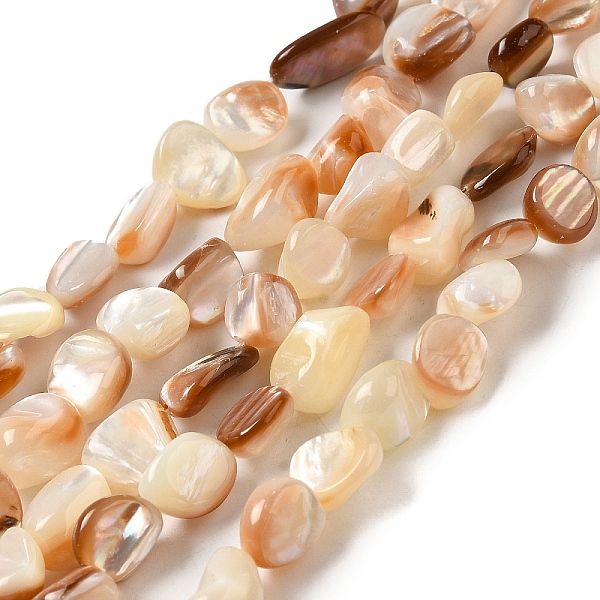 

PandaHall Natural Sea Shell Beads Strands, Nuggets, 8~14.5x4~10x4~10mm, Hole: 0.9mm, about 38~41pcs/strand, 14.69''~15.16''(37.3~38.5cm)...