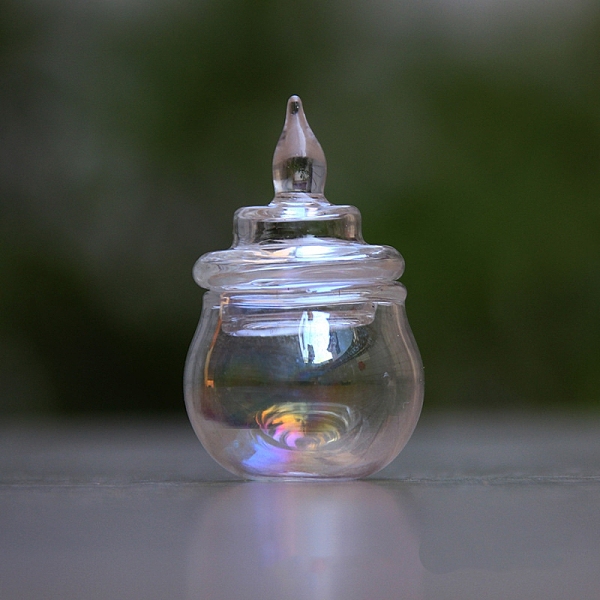 

PandaHall Glass Bottles, Wishing Bottle, Clear, 2.4cm Glass Bottle Clear
