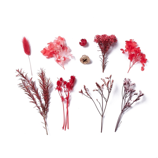 

PandaHall Dried Flowers, DIY Candle Soap Making Accessories, with Plastic Rectangle Box, Red, 1.5~16x1.8~5.4cm Dried Flower Red