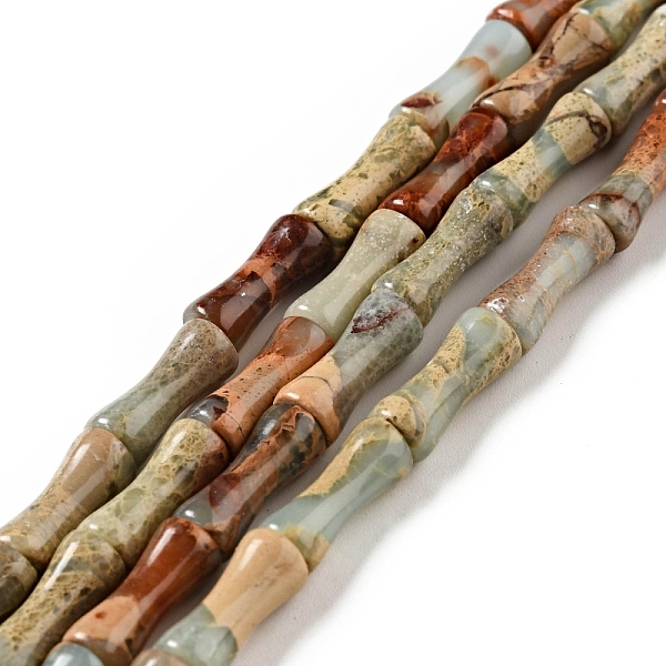 

PandaHall Natural Aqua Terra Jasper Beads Strands, Bamboo, 5.5x13mm, Hole: 1mm, about 31pcs/strand, 16.26''(41.3cm) Aqua Terra Jasper Bamboo