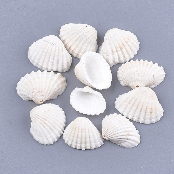 

PandaHall Clam Shell Pendants, White, 15~20x19~28x6~9mm, Hole: 1mm, about 315pcs/500g Other Sea Shell Shell Shape White