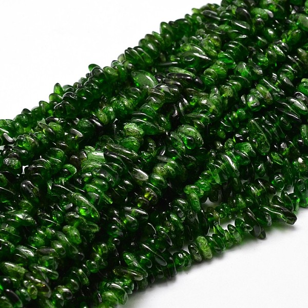 

PandaHall Natural Diopside Chip Beads Strands, 5~14x4~10mm, Hole: 1mm, about 15.5 inch~16.1 inch Diopside Chip