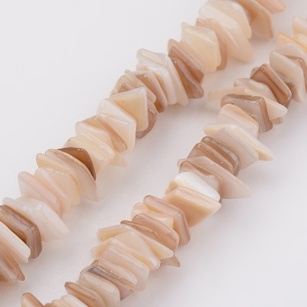 

PandaHall Natural Shell Bead Strands, Rectangle, BurlyWood, 5~17x5~7x1~4mm, Hole: 1mm, about 200pcs/strand, 15.7 inch Other Sea Shell..., Orange