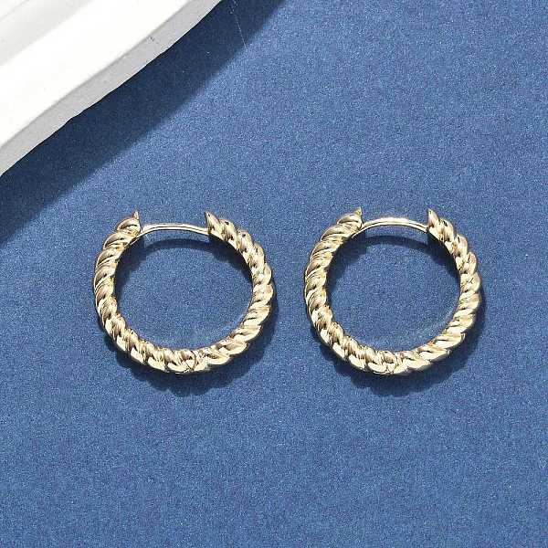 Brass Hoop Earrings - image