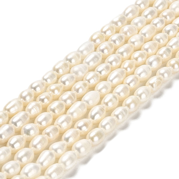 

PandaHall Natural Cultured Freshwater Pearl Beads Strands, Rice, Grade 2A+, White, 6.5~7x5~5.5mm, Hole: 0.5mm, about 49pcs/strand, 13.86''...