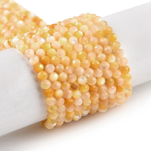 

PandaHall Natural Yellow Shell Beads Strands, Faceted, Round, PeachPuff, 3~3.5mm, Hole: 0.6mm, about 138pcs/strand, 15.55 inch(39.5cm)..., Brown