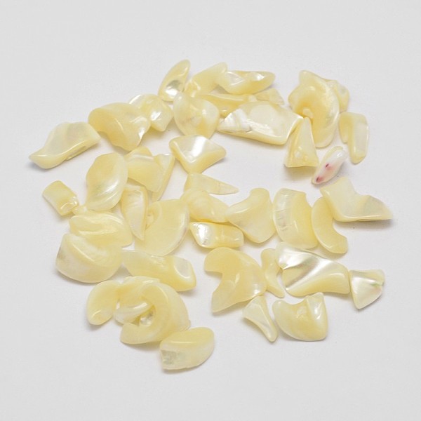 

PandaHall No Hole Natural Trochid Shell/Trochus Shell Chip Beads, Shell Shards, Light Goldenrod Yellow, 5~12x3~5mm Trochus Shell Chip Yellow