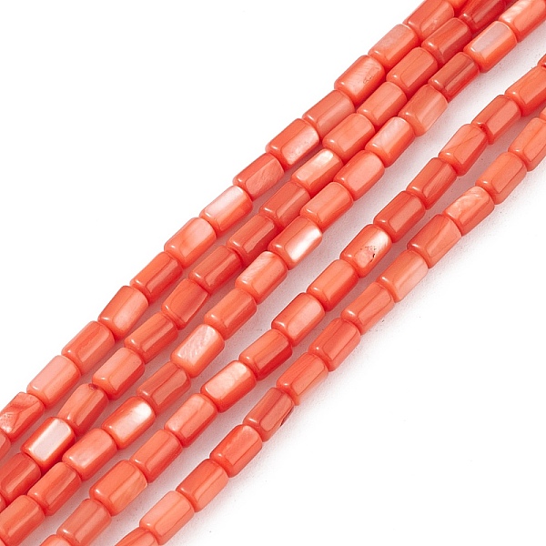 

PandaHall Natural Freshwater Shell Dyed Beads Strands, Column, Orange Red, 4.8x3mm, Hole: 0.8mm, about 78pcs/strand, 14.96''(38cm)...