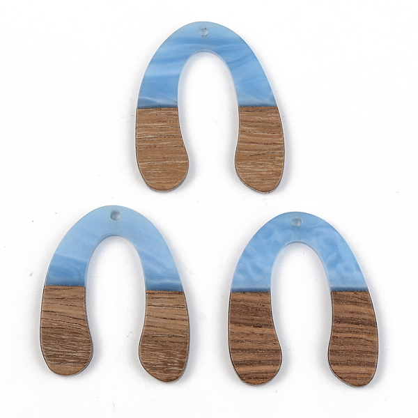 

PandaHall Opaque Resin & Walnut Wood Pendants, U Shape, Cornflower Blue, 38x32x3mm, Hole: 2mm Resin+Wood Others Blue