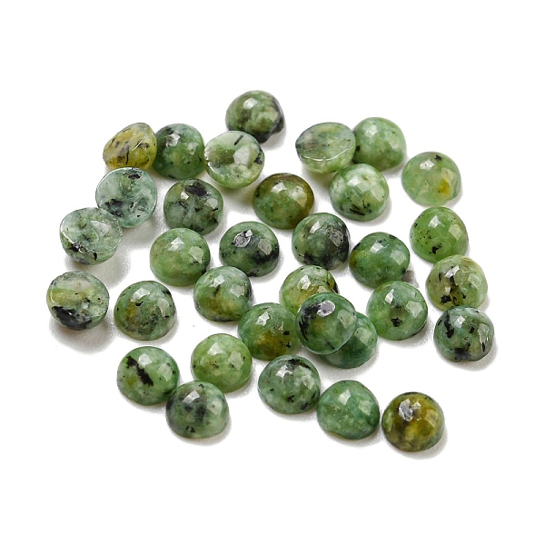 

PandaHall Natural African Turquoise(Jasper) Cabochons, Half Round, 3x1.5mm African Turquoise(Jasper) Half Round