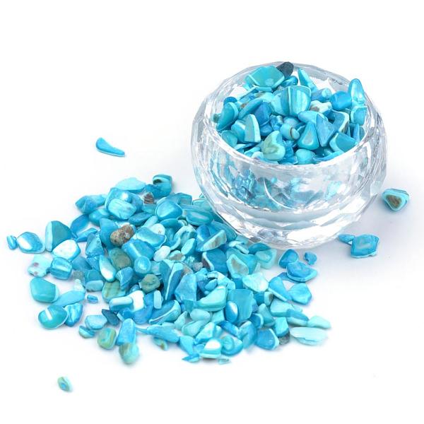 

PandaHall Natural Sea Shell Beads, No Hole, Dyed, Chip, Deep Sky Blue, 2~15x2~10x1~5mm Other Sea Shell Chip Blue