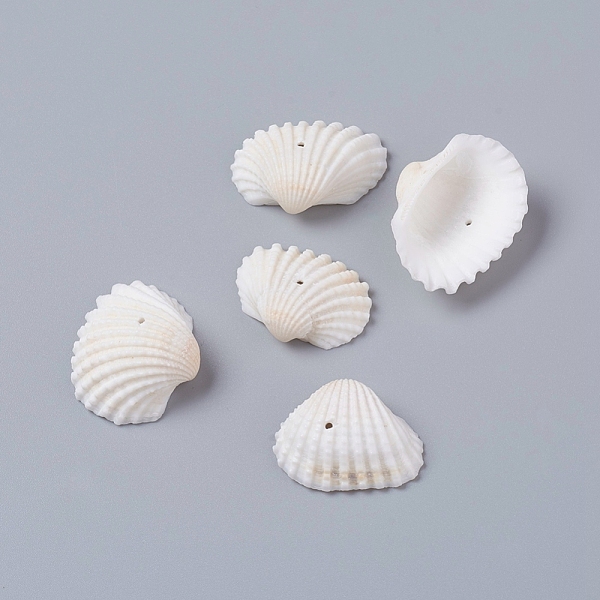 

PandaHall Natural Freshwater Shell Beads, Shell Shape, Seashell Color, 18~24x22~32x8~10mm, Hole: 1.2mm, about 230pcs/500g Freshwater Shell...