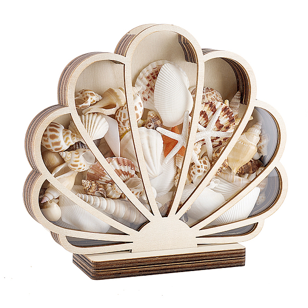 Wood Acrylic Shell Shape Display Box