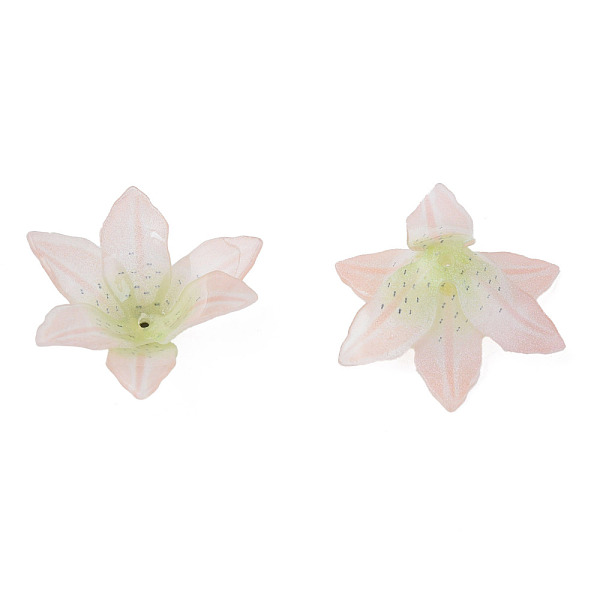 

PandaHall Plastic Beads, Flower, Light Green, 33x33x12.5mm, Hole: 1.2mm Plastic Flower