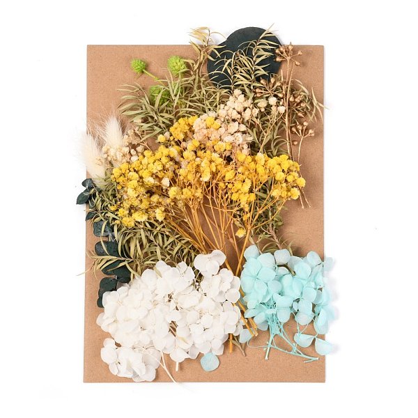 

PandaHall Dried Flower, for Bridal Shower, Wedding, Preserved Fresh Flower, Colorful, 210x148x14~24.5mm Dried Flower