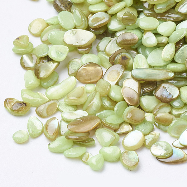 

PandaHall Shell Beads, No Hole Beads, Dyed, Chip, Green Yellow, 1~15x1~15x0.5~5mm Freshwater Shell Chip Green