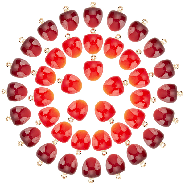 

PandaHall PH 40Pcs Cherry Pendant Charms, Fruit Charms Cherry Plastic Pendant for Women Earring Resin Charms Mini Cherry Dangle Charms..., Multicolor