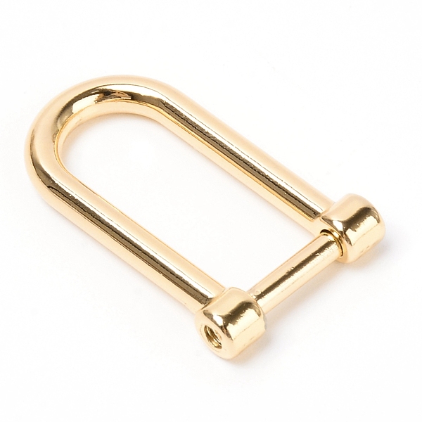 

PandaHall Alloy with Iron D Shape Rings Clasps, for Bag Replacement Accessories, Light Gold, 3.5x2.1x0.55cm, Inner Diameter: 2.75x1.1cm...