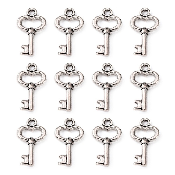 

PandaHall Gifts Ideas for Her Tibetan Style Alloy Charms, Lead Free and Cadmium Free, Skeleton Key, Antique Silver, 15.5x9x2.5mm, Hole: 1mm...
