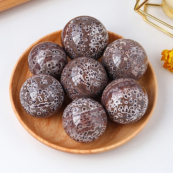 

PandaHall Natural Fish Roe Stone Crystal Ball Display Decorations, Reiki Energy Stone Sphere, with Wood Base, Feng Shui Ornaments, 40~45mm...