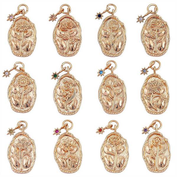

PandaHall 12Pcs 12 Style Brass Rhinestone Pendants, Birth Flower Charms, Oval with Star, Golden, 23x13x2mm, Hole: 3mm, Star: 9x4x1mm..., Multicolor
