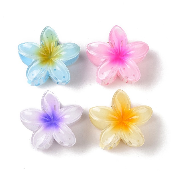 Plastic Claw Hair C… - image