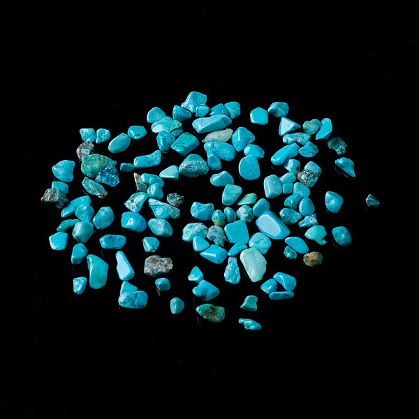 

PandaHall Natural Magnesite Chip Beads, Dyed & Heated, No Hole/Undrilled, 2~12x2~10x1~3mm, about 11200pcs/1000g Magnesite Chip