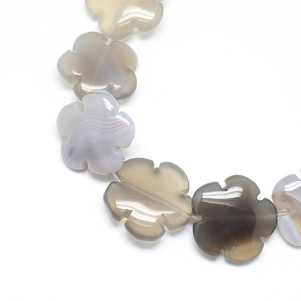 

PandaHall Natural Grey Agate Bead Strands, Flower, 15.5~16x16x6mm, Hole: 1mm, about 25pcs/strand, 15.1 inch Grey Agate Flower