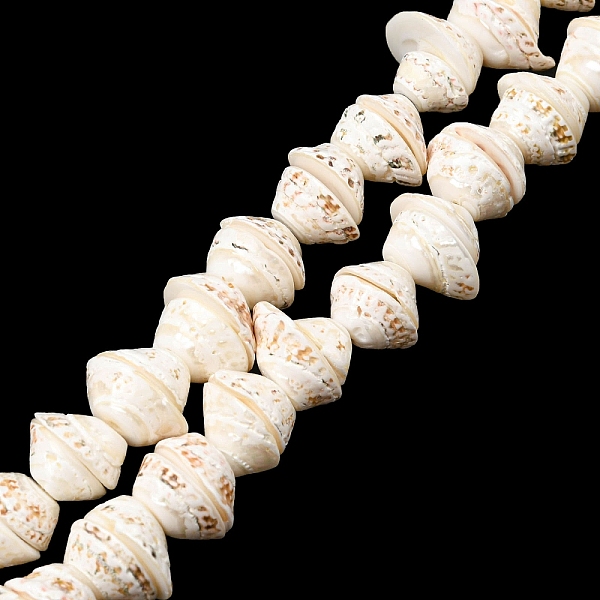 

PandaHall Natural Shell Bead Strands, Turritella, Seashell Color, 10~15x13x18mm, Hole: 1mm, about 52pcs/strand, 15.7 inch Other Sea Shell...
