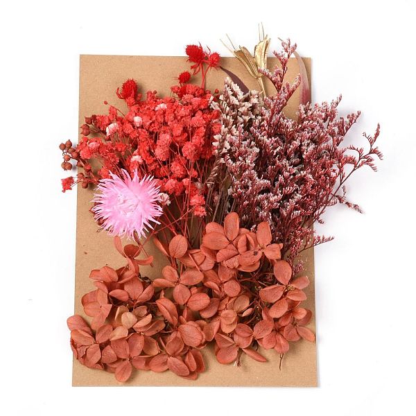 

PandaHall Dried Flower, for Bridal Shower, Wedding, Preserved Fresh Flower, Red, 210x148x14~24.5mm Dried Flower Red