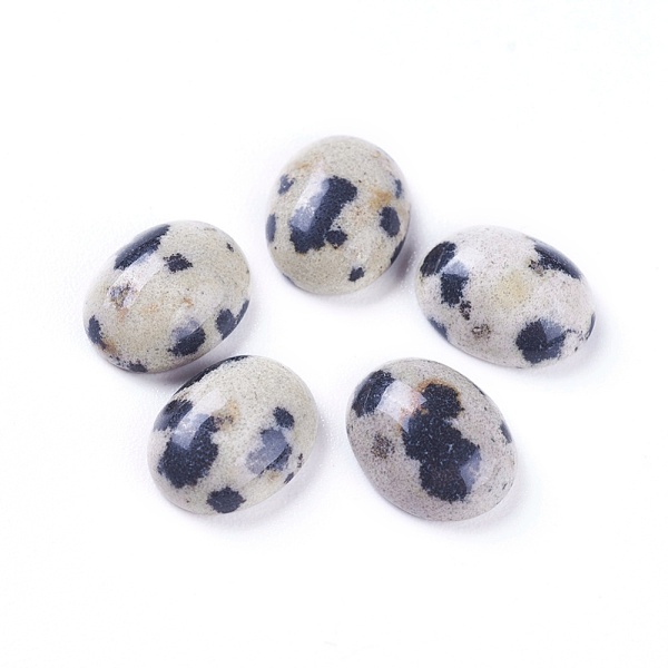

PandaHall Natural Dalmatian Jasper Cabochons, Oval, 9.5~10.5x7.5~8.5x3.5~4.5mm Dalmatian Jasper Oval
