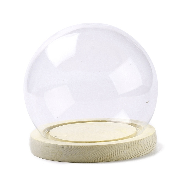 High Borosilicate Glass Cloche Globe Display Dome