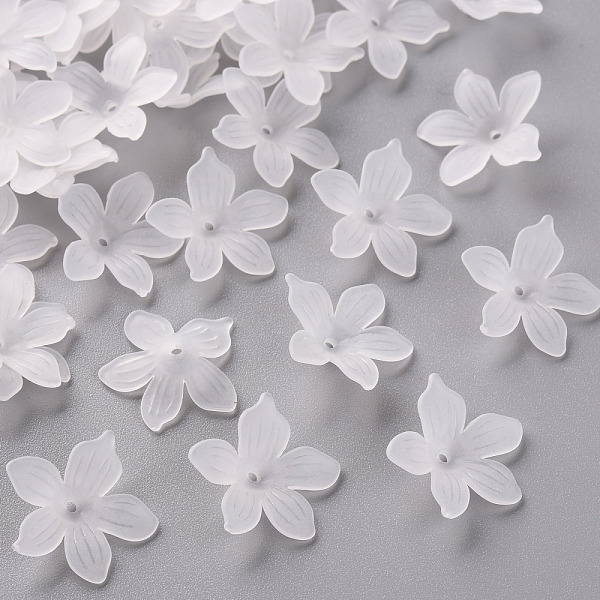 Frosted Acrylic Bea… - image
