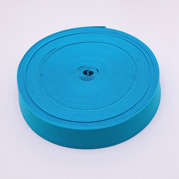 

PandaHall Ultra Wide Thick Flat Elastic Band, Webbing Garment Sewing Accessories, Sky Blue, 40mm Elastic Fibre Flat Blue