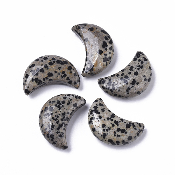 

PandaHall Moon Shape Natural Dalmatian Jasper Healing Crystal Pocket Palm Stones, for Chakra Balancing, Jewelry Making, Home Decoration...