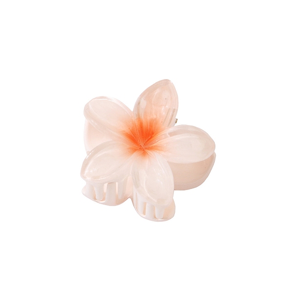 Plastic Claw Hair C… - image