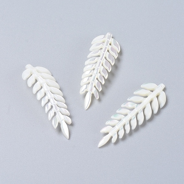 

PandaHall Natural Shell Pendants, Leaf, White, 45~47x14~15x2~2.5mm, Hole: 0.8mm Other Sea Shell Leaf White