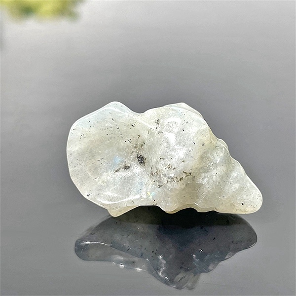 

PandaHall Natural Labradorite Carved Healing Conch Figurines, Reiki Energy Stone Display Decorations , 32x19mm Labradorite Others