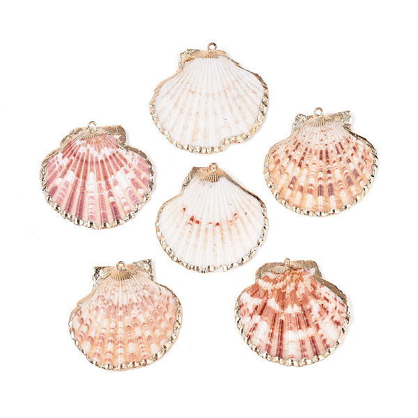 Electroplate Sea Sh… - image