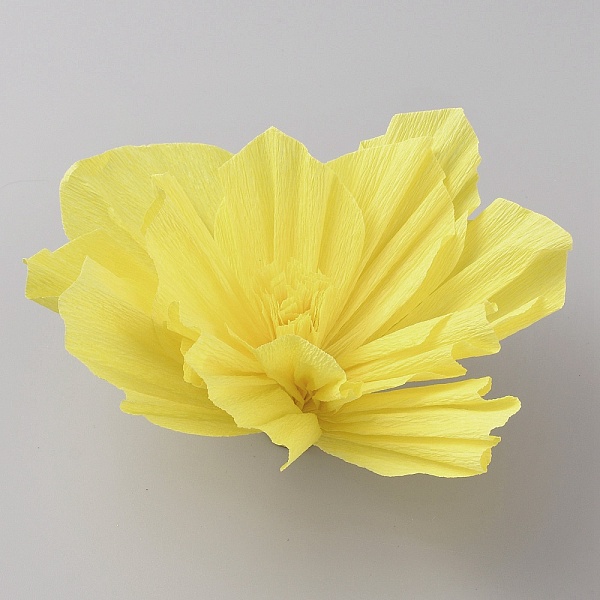 Crepe Paper Flowers Decoration for Wall