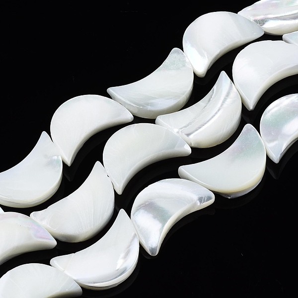 

PandaHall Natural Trochid Shell/Trochus Shell Beads Strands, Bleach, Moon, White, 16x11x3mm, Hole: 0.8mm, about 26pcs/strand, 15.55 inch...