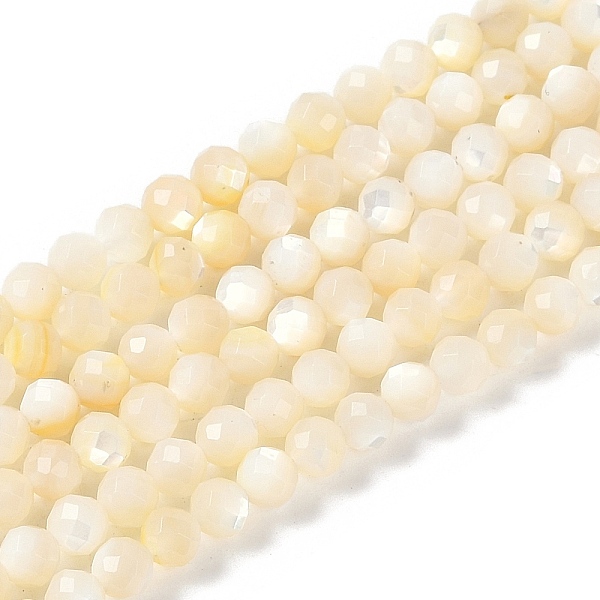 Natural White Shell… - image