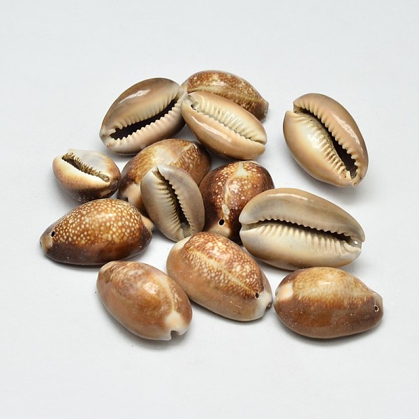 

PandaHall Natural Shell Oval Beads, Peru, 25~35x17~25x12~25mm, Hole: 1mm, about 100pcs/500g Cowrie Shell Oval Brown