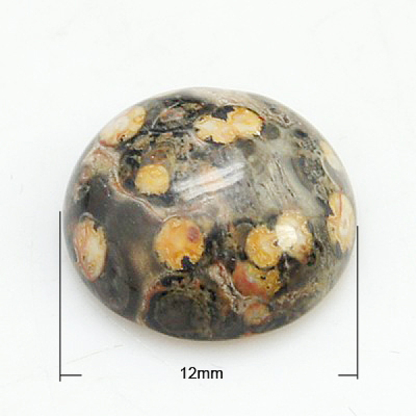 PandaHall Gemstone Cabochons, Half Round/Dome, Leopard Skin Jasper, 12x5mm Leopard Skin Jasper Half Round