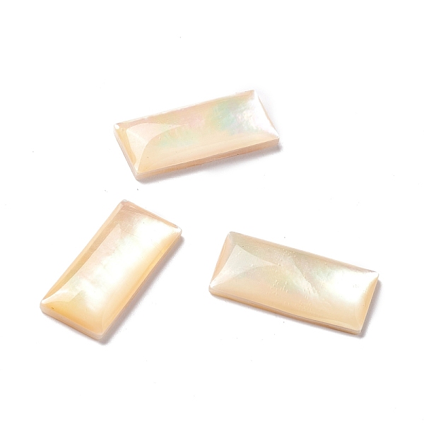 

PandaHall Yellow Shell Cabochons, Rectangle, Light Khaki, 16x7x3mm Yellow Shell Rectangle
