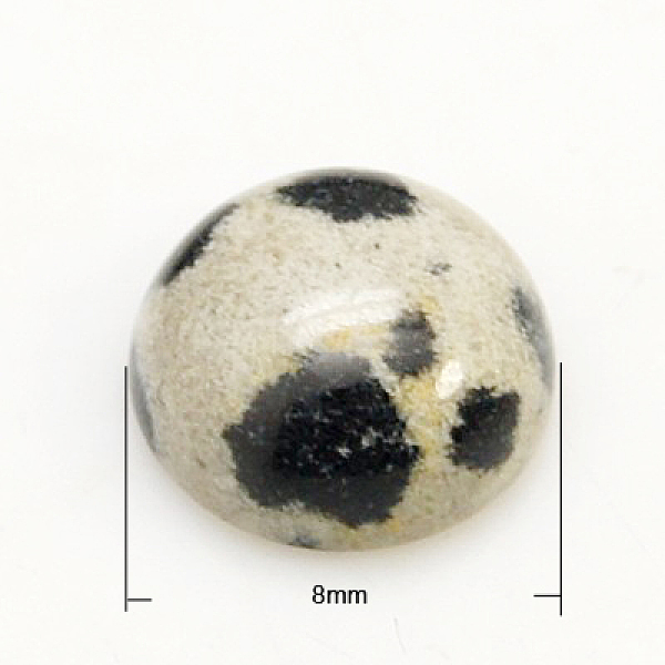 

PandaHall Gemstone Cabochons, Half Round/Dome, Dalmatian Jasper, 8x3.5mm Dalmatian Jasper Half Round